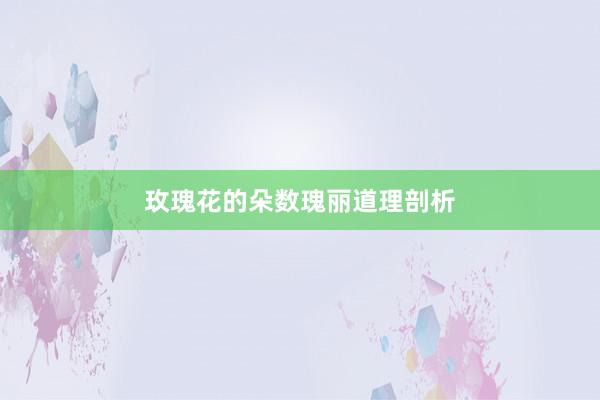 玫瑰花的朵数瑰丽道理剖析
