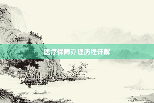 医疗保障办理历程详解