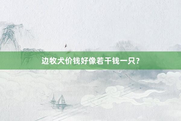边牧犬价钱好像若干钱一只？