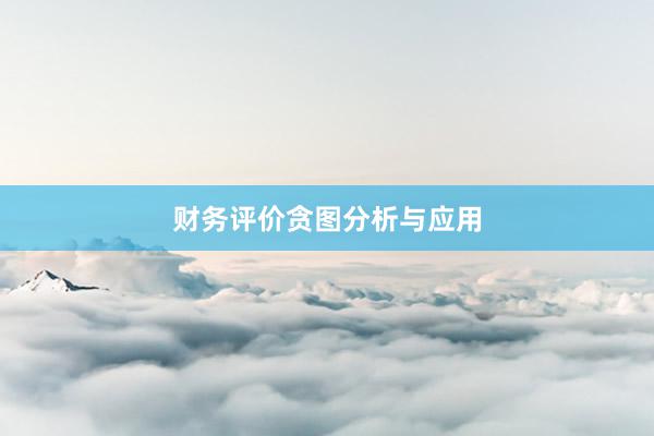 财务评价贪图分析与应用